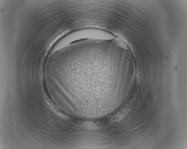 X0000081480390200701262033