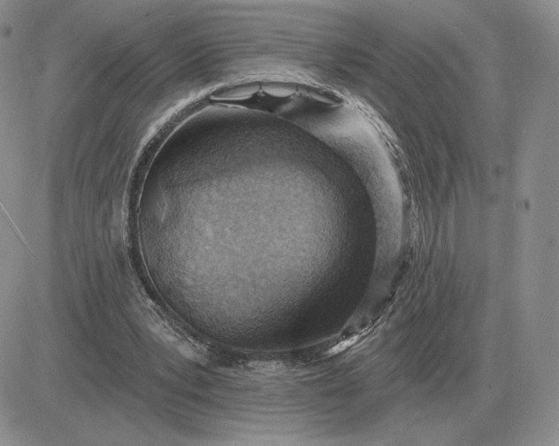 X0000081480391200701262033