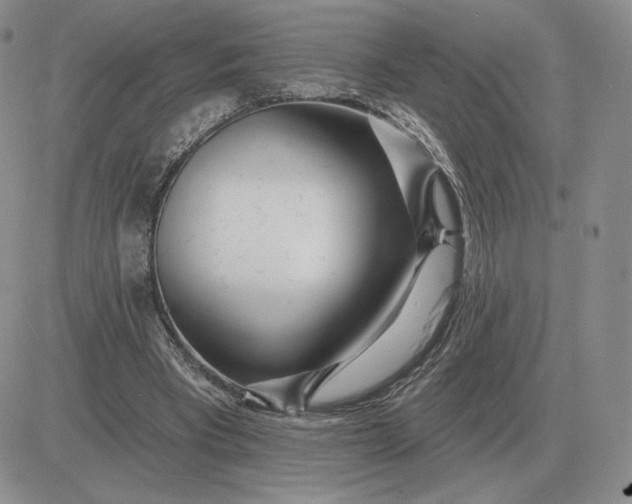 X0000081480393200701262033