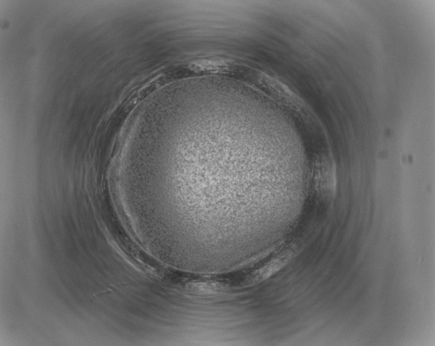 X0000081480408200701262033