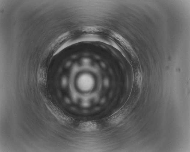 X0000081480421200701262033