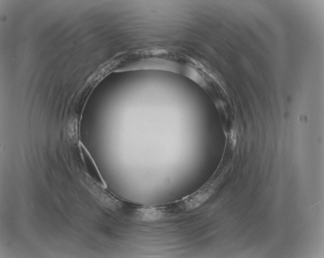 X0000081480425200701262033