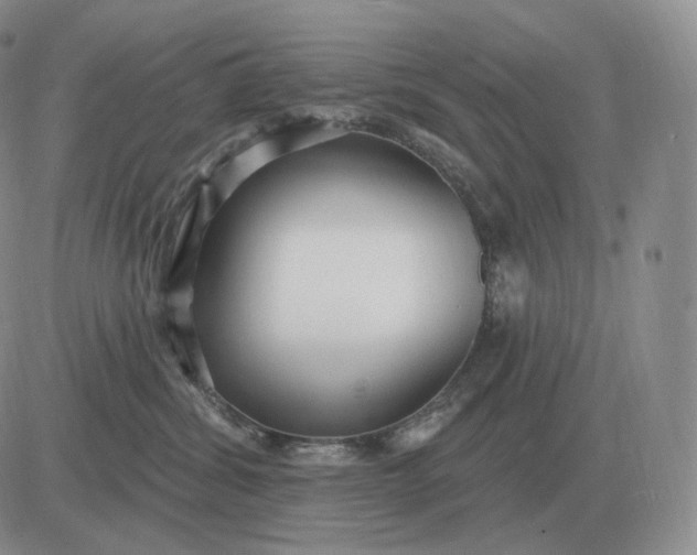 X0000081480428200701262033