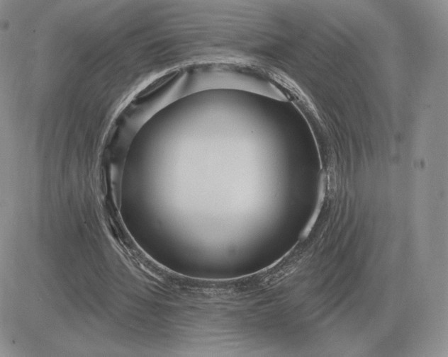 X0000081480436200701262032