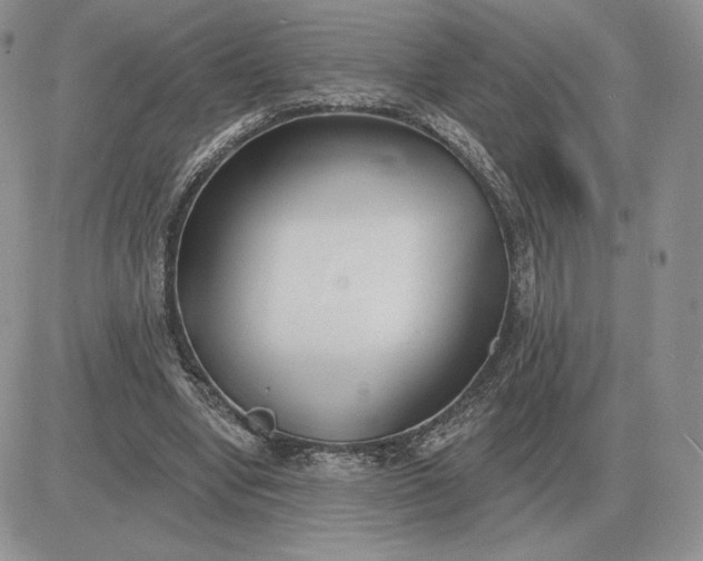 X0000081480442200701262032