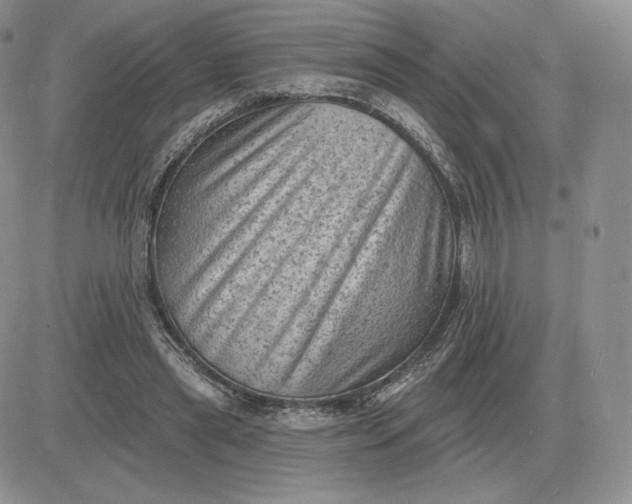 X0000081480445200701262032