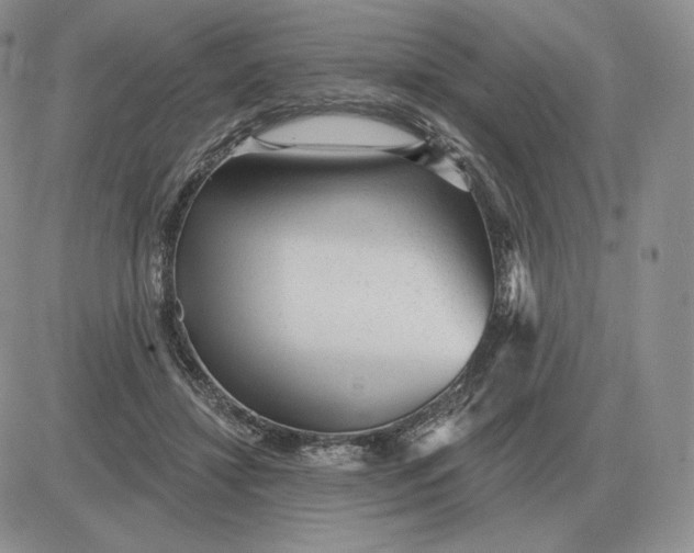 X0000081480452200701262032