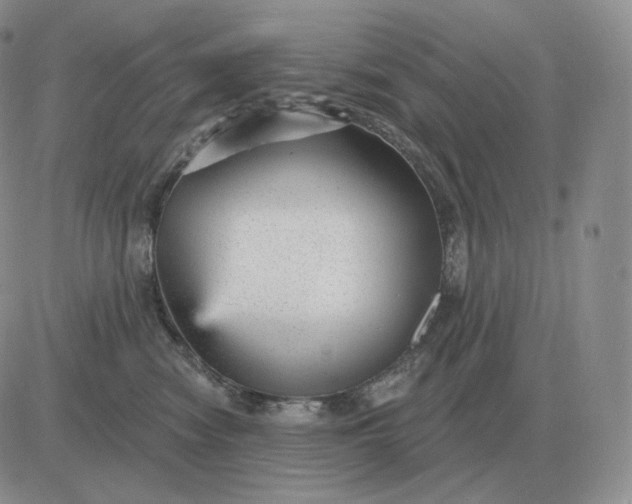 X0000081480474200701262032