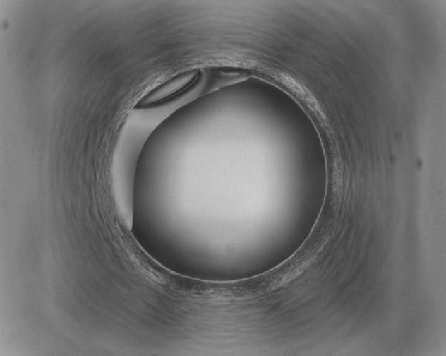 X0000081480481200701262032