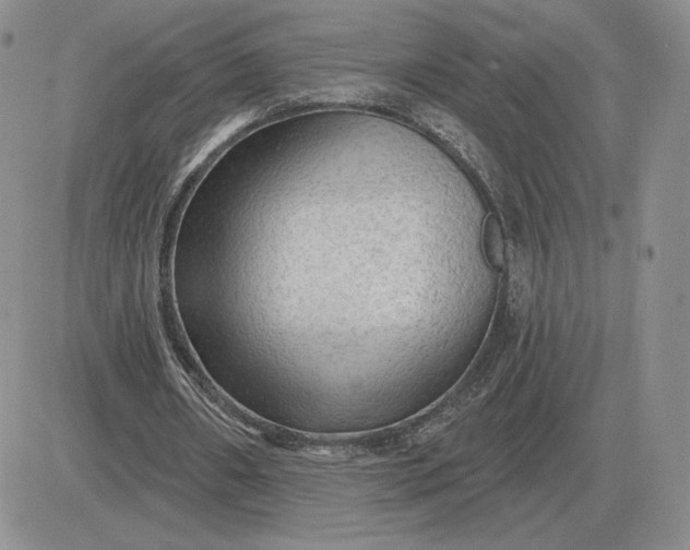 X0000081480482200701262032