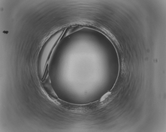 X0000081480485200701262032