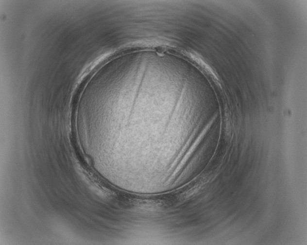 X0000081480486200701262032
