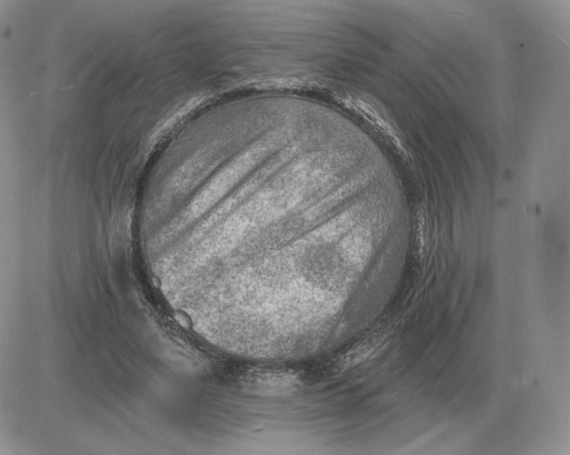 X0000081480491200701262032