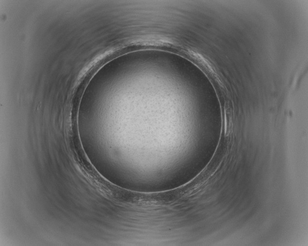 X0000081480531200701262030