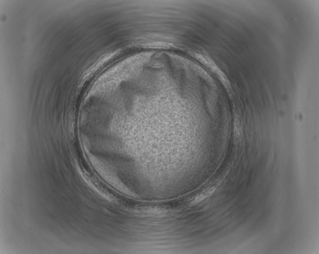 X0000081480533200701262030