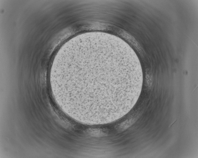 X0000081480534200701262030