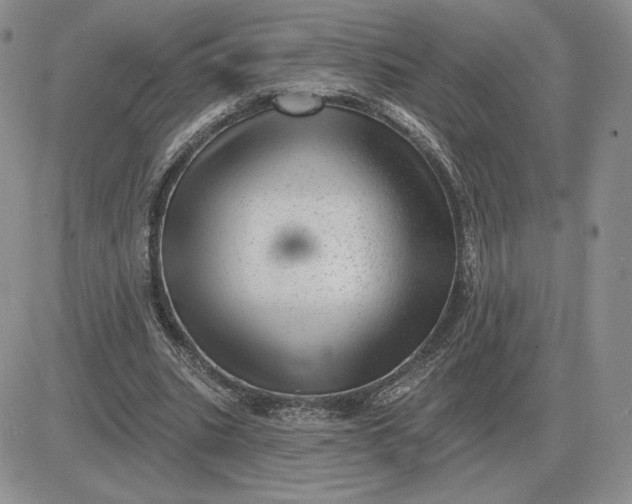 X0000081480535200701262030