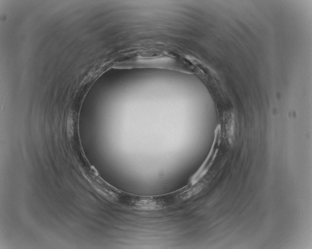 X0000081480562200701262031
