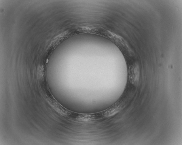 X0000081480563200701262031