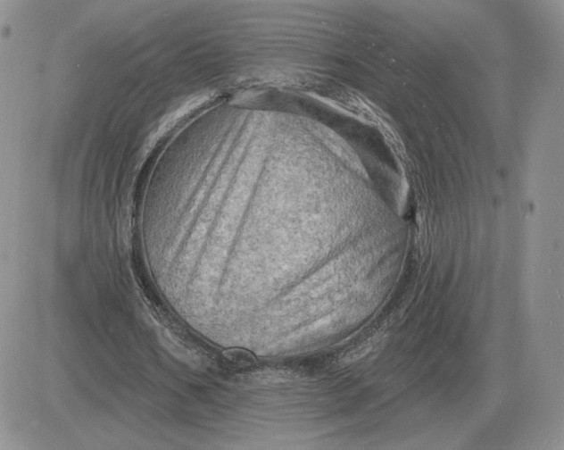 X0000081480578200701262030
