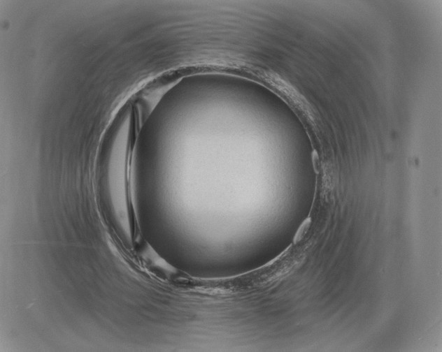 X0000081480580200701262030