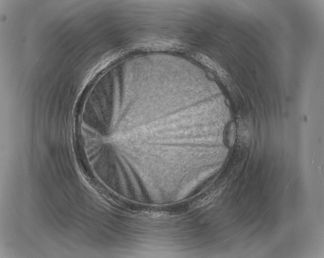 X0000081480582200701262030