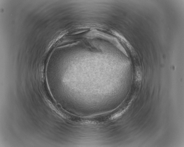 X0000081480585200701262030