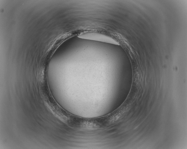 X0000081480596200701262030