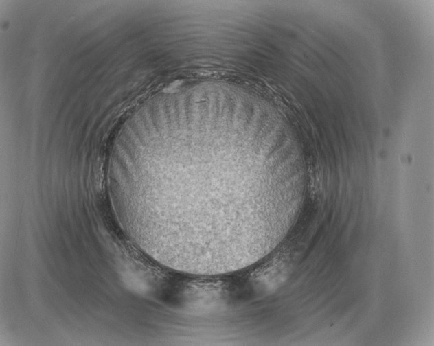 X0000081480606200701262030