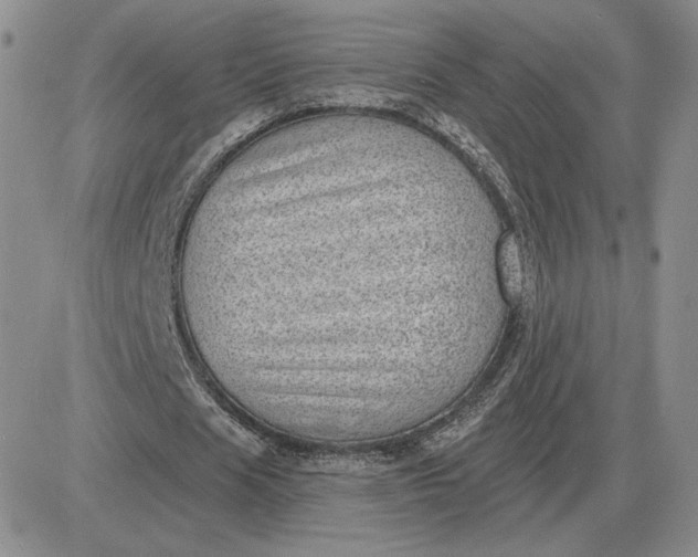 X0000081480625200701262029