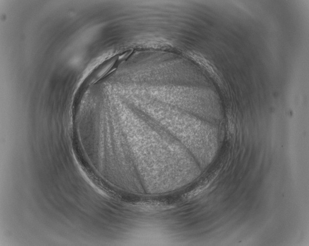 X0000081480630200701262029