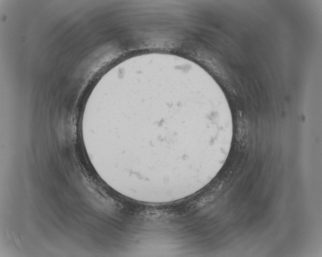 X0000081480632200701262029