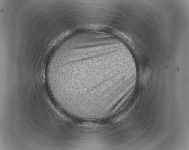 X0000081480633200701262029