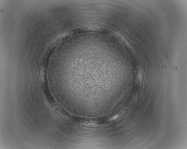 X0000081480643200701262029