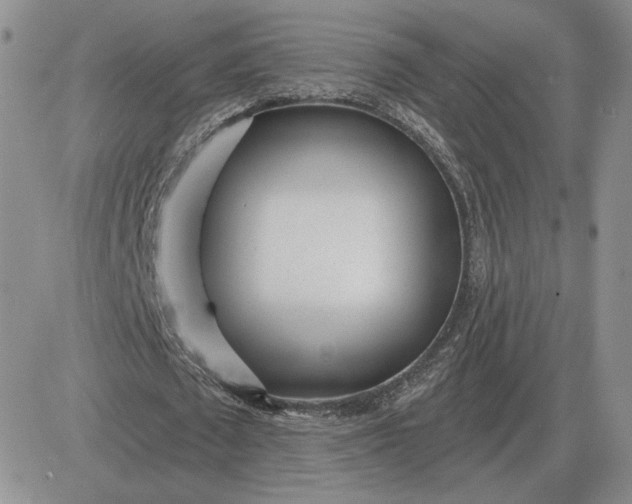 X0000081480673200701262029