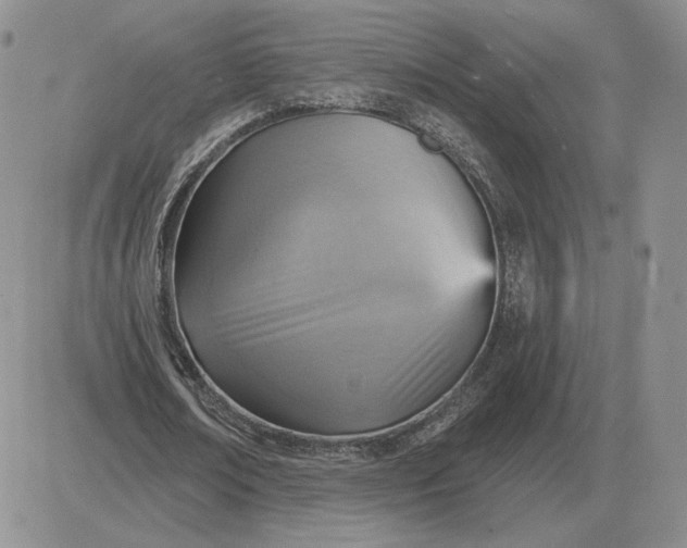 X0000081480674200701262029