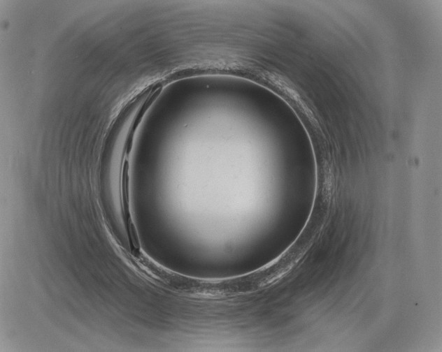 X0000081480677200701262029