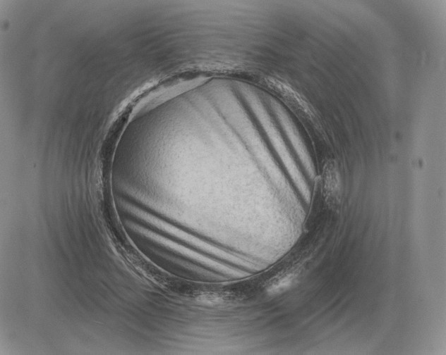 X0000081480684200701262028