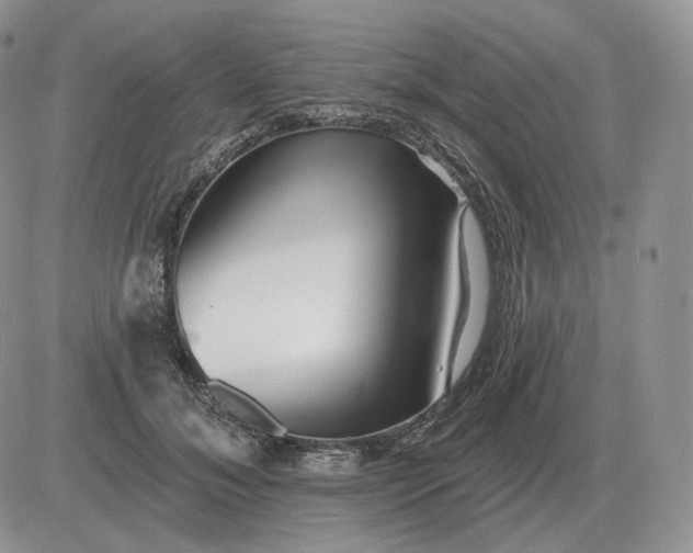 X0000081480700200701262028