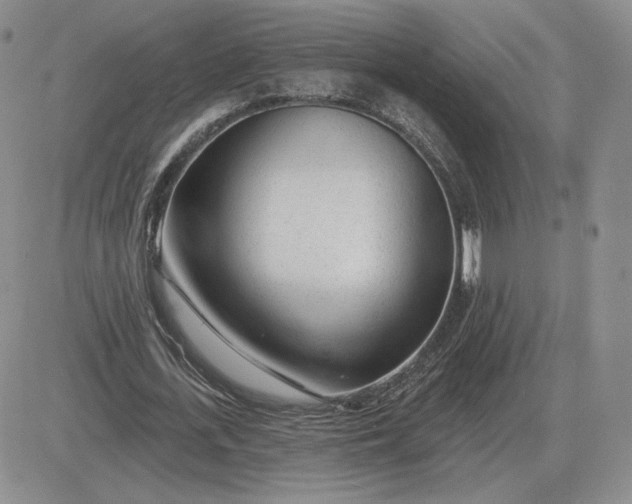 X0000081480723200701262027