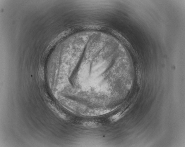X0000081480729200701262027