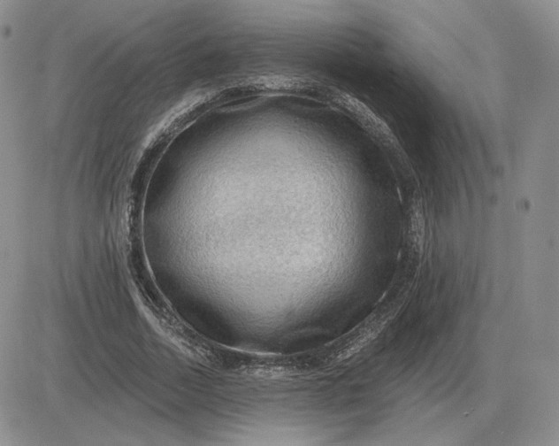 X0000081480730200701262027