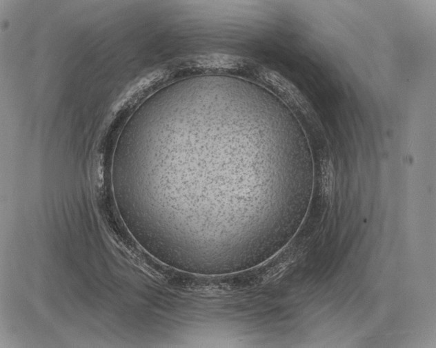 X0000081480731200701262027