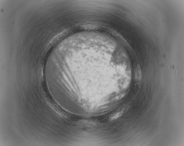 X0000081480733200701262027