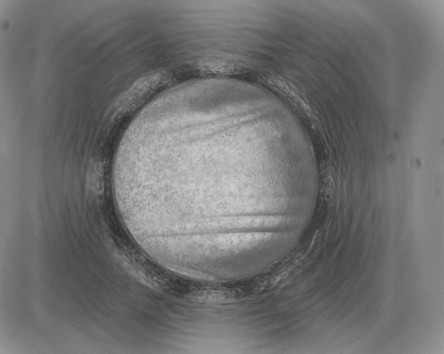 X0000081480738200701262027