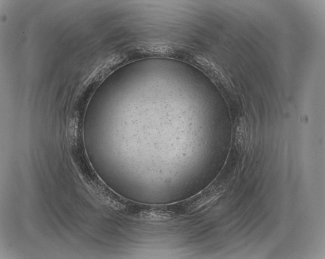 X0000081480739200701262027