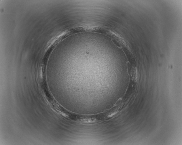 X0000081480740200701262027