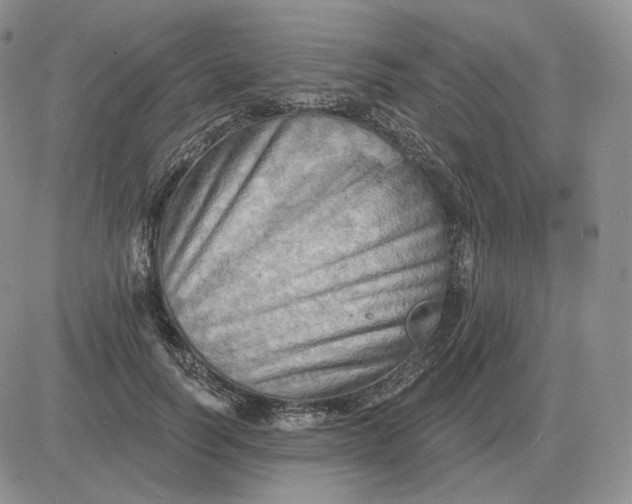 X0000081480746200701262027