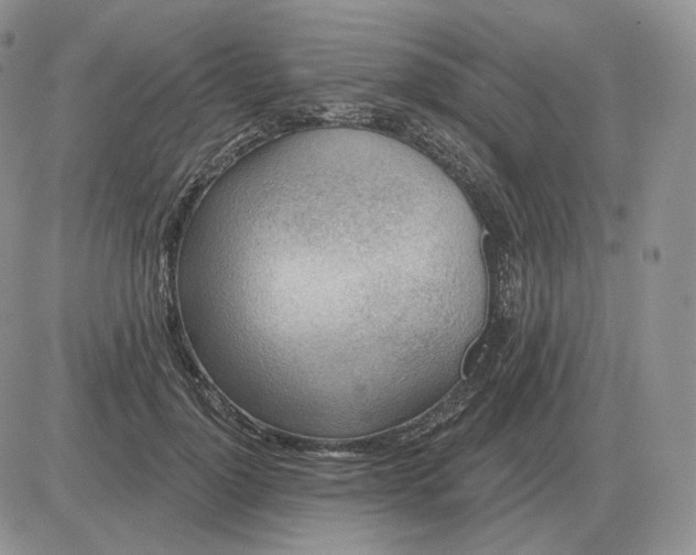 X0000081480748200701262027