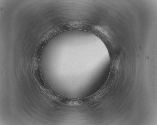 X0000081480751200701262028